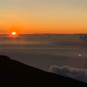 Meet your Posher, Zee